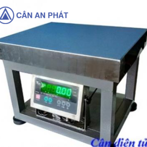 Cân điện tử ghế ngồi Digi 28SS