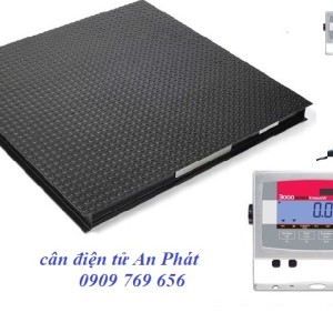 Cân sàn điện tử Ohaus series 3000